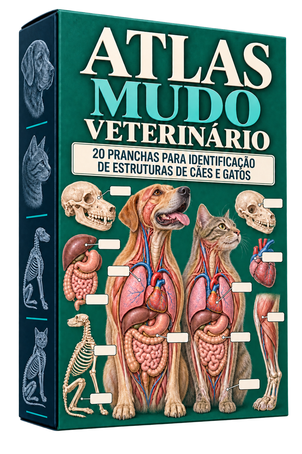 Mockup do Atlas Mudo Veterinário