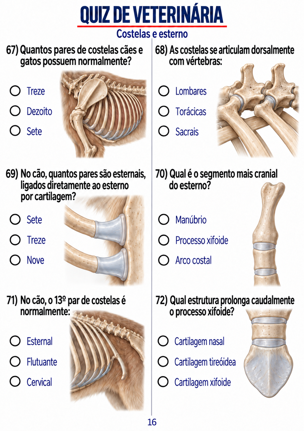 Rodada visual sobre costelas e esterno